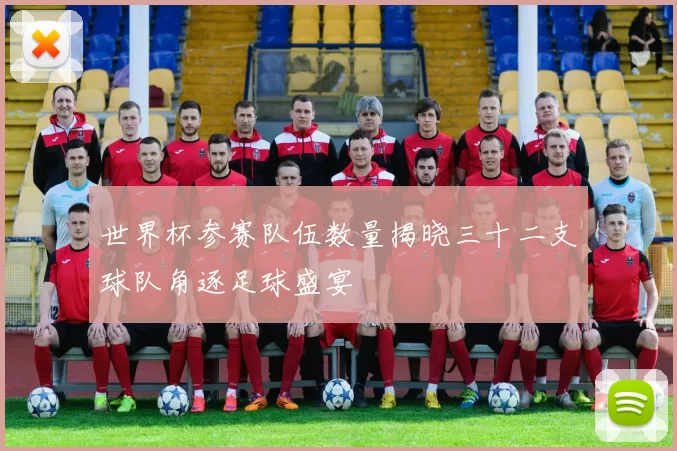 世界杯参赛队伍数量揭晓三十二支球队角逐足球盛宴
