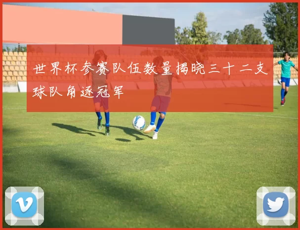 世界杯参赛队伍数量揭晓三十二支球队角逐冠军