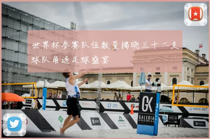 世界杯参赛队伍数量揭晓三十二支球队角逐足球盛宴