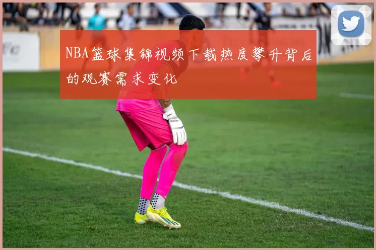 NBA篮球集锦视频下载热度攀升背后的观赛需求变化