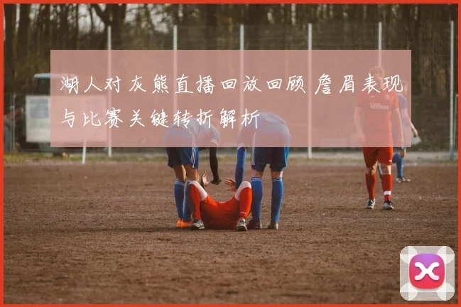湖人对灰熊直播回放回顾 詹眉表现与比赛关键转折解析