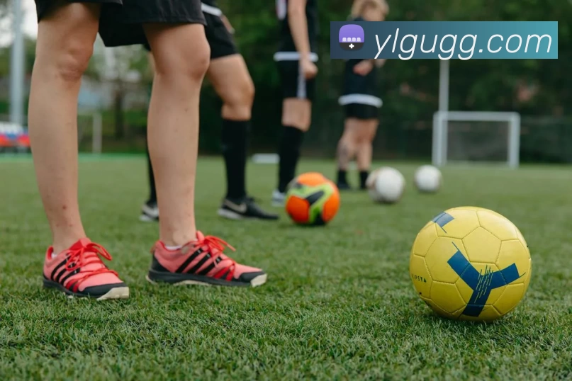 米兰app体育网页版服务体系